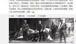 天涯爆料海南事件始末视频,揭秘天涯爆料背后的真相