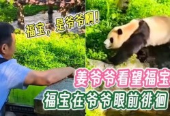 福宝爷爷爆料福宝视频下载,福宝视频下载攻略大公开