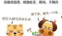 幼师爆料视频大全下载,揭秘幼儿园真实内幕